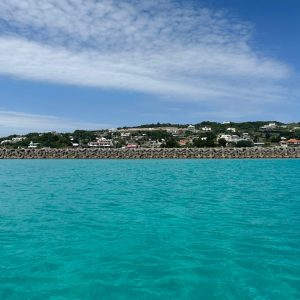 【沖縄/古宇利島 | 持ち込みSUPスポット情報】水色の海×熱帯植物が覆い茂る雄大な南国リゾート